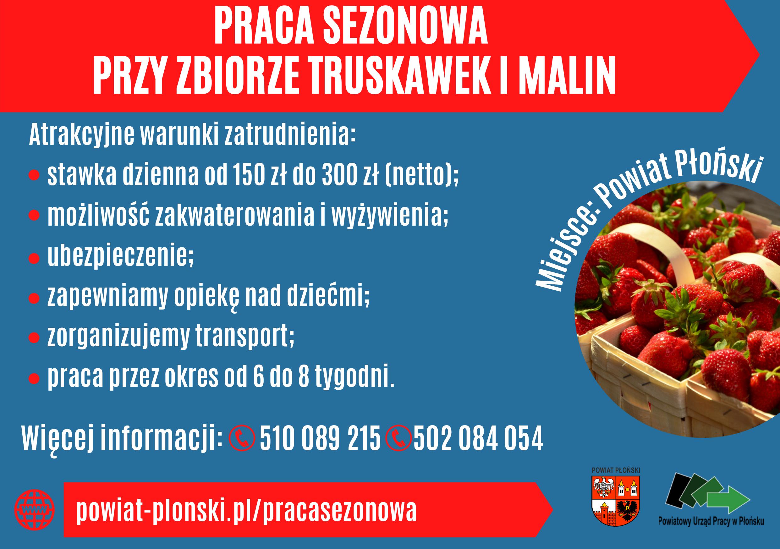 Ulotka praca sezonowa język polski