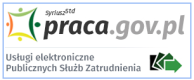 Obrazek dla: Awaria portalu praca.gov.pl (aktualizacja godz.15:40)